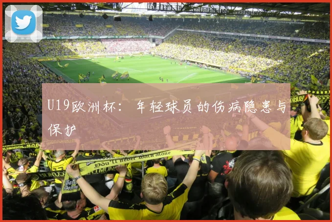 U19欧洲杯：年轻球员的伤病隐患与保护