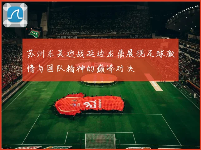 苏州东吴迎战延边龙鼎展现足球激情与团队精神的巅峰对决