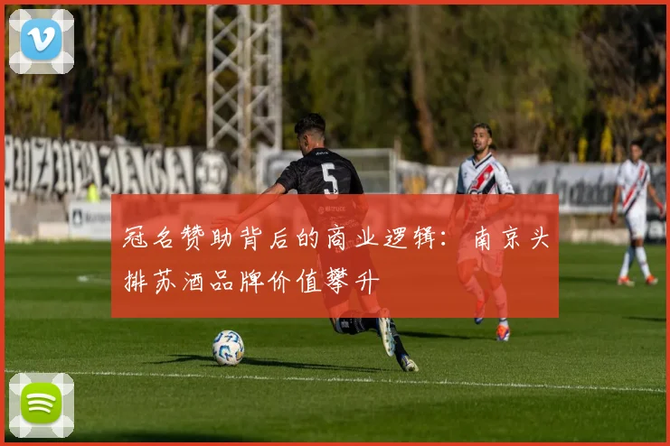 冠名赞助背后的商业逻辑：南京头排苏酒品牌价值攀升